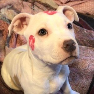 Meet your Posher, Kathleen